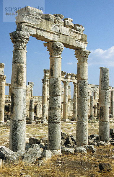Römische Säulenstraße  Kolonnaden  Apamea  Syrien  Naher Osten  Orient