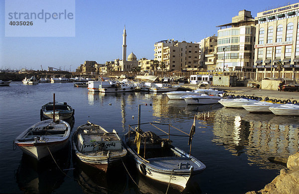 Fischerboote im Hafen von Tartus im Nachmittagslicht  Syrien  Naher Osten  Orient