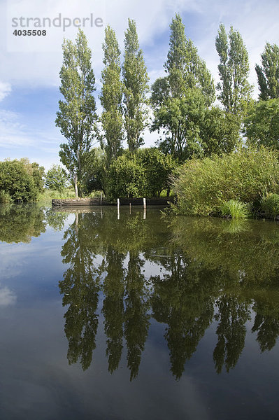 Ile de Feudrin  Ramsar-Konvention für den Schutz der Feuchtgebiete  Regionaler Naturpark BriËre oder Grande BriËre  Pays de Loire  Frankreich  Europa