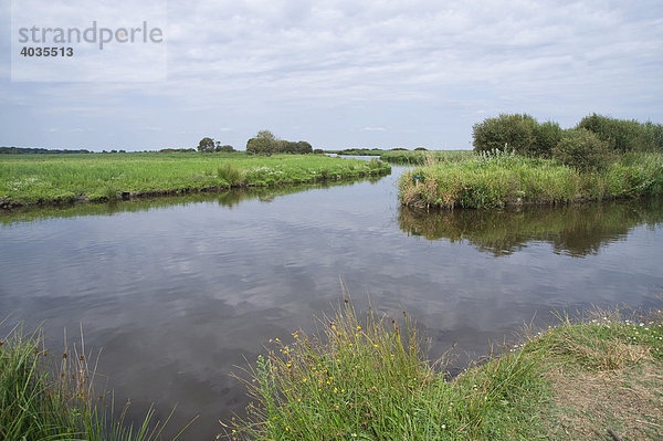 Hafen Breca  Ramsar-Konvention für den Schutz der Feuchtgebiete  Regionaler Naturpark BriËre oder Grande BriËre  Pays de Loire  Frankreich  Europa