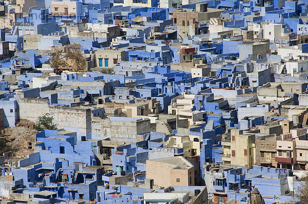 Blaue Häuser  Jodphur  Rajasthan  Indien  Südasien