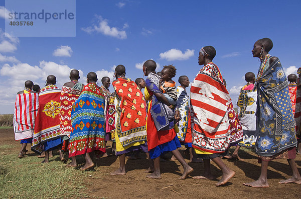 Tanzende Masai Frauen  Masai Mara  Kenia  Ostafrika  Afrika