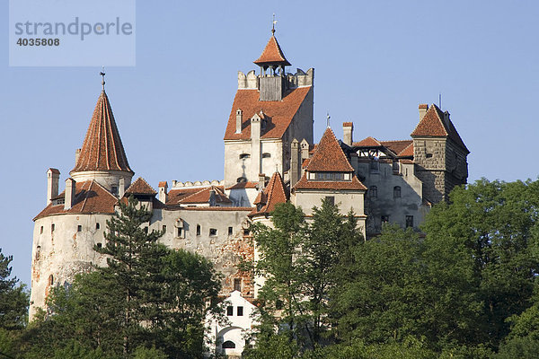 Schloss Bran oder Schloss Dracula  Walachei  Karpaten Gebirge  Rumänien