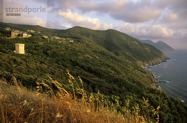 Abendstimmung an der Westküste des Cap Corse bei Centuri Port  Korsika  Frankreich  Europa