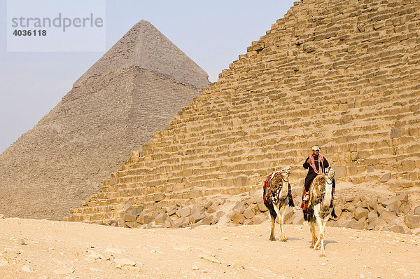 Kamelreiter bei den Pyramiden  Gizeh  Ägypten  Afrika