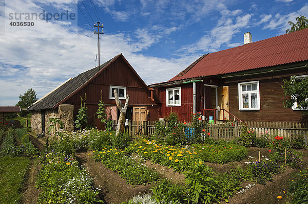 Typisches Landhaus mit Bauerngarten  Peipsusee  Peipsi järv  Estland  Baltikum  Nordosteuropa