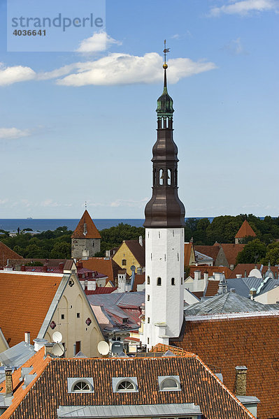 Rathausturm und Dächer von Oberstadt  Tallinn  Estland  Baltikum  Nordosteuropa