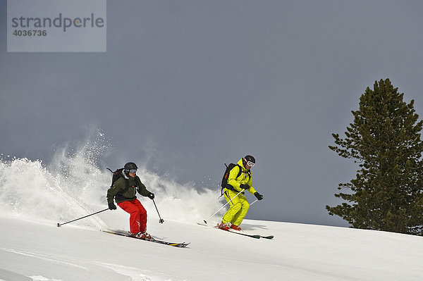 Zwei Tiefschnee Skifahrer  Tirol  Österreich  Europa