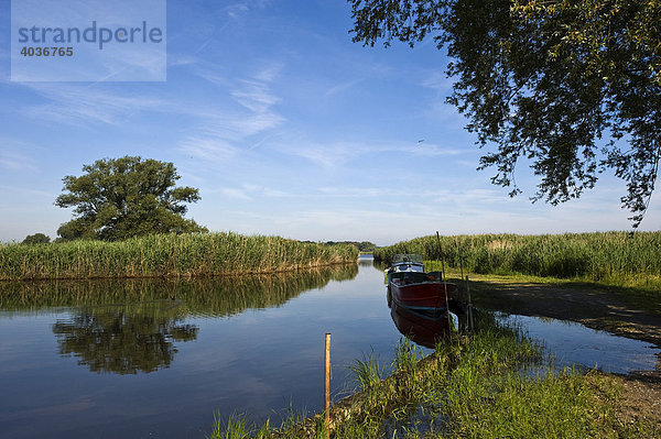 Naturschutzgebiet  Rheindelta  Fußach  Bregenz  Vorarlberg  Österreich  Europa