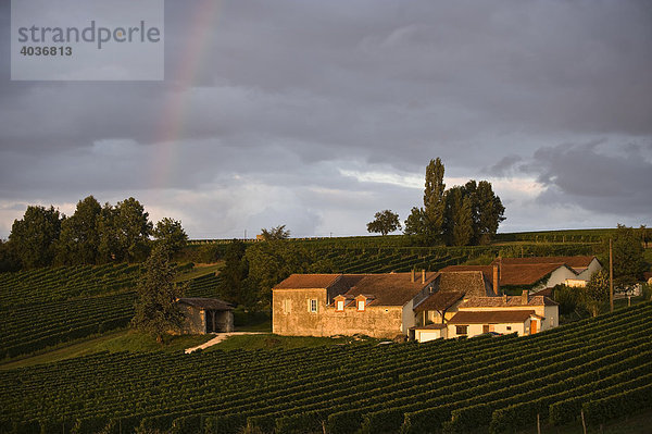Chateau  Benigard mit Weinberg und Regenbogen  Perigord  Weingut bei Bergerac  Aquitaine  Frankreich