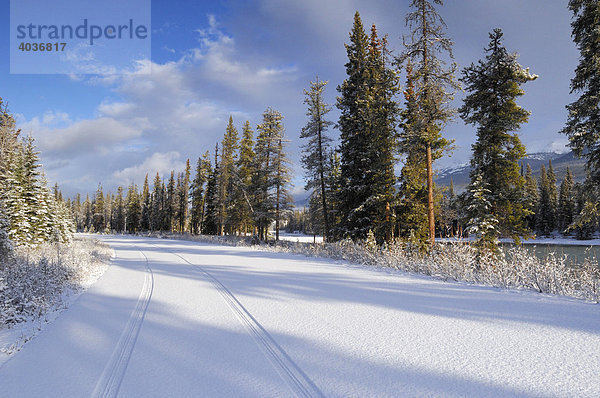 Reifen-Spuren in frisch gefallenem Schnee entlang der Landstraße 93A  Jasper-Nationalpark  Alberta  Kanada