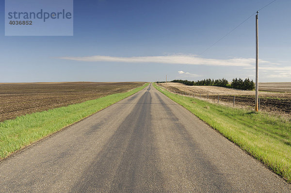 Landstraße erstreckt sich in die Ferne  Strathcona County  östlich von Edmonton  Alberta  Kanada
