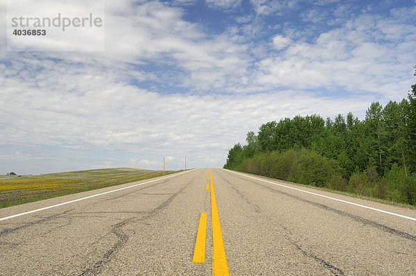 Landstraße  mit gelber Linie in der Mitte erstreckt sich in die Ferne  Leduc County  Alberta  Kanada