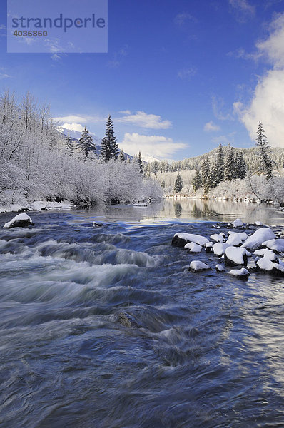 Neuer Nachtschneefall bedeckt die Landschaft  Miette Fluss westlich von der Stadt Jasper  Jasper-Nationalpark  Alberta  Kanada