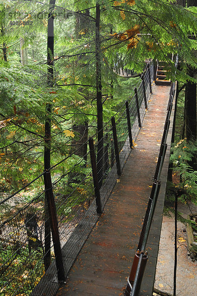 Treetops Adventure walkway  Baumkronenpfad  bei der Capilano Suspension Bridge  Hängebrücke  Touristenattraktion  Vancouver  British Columbia  Kanada  Nordamerika