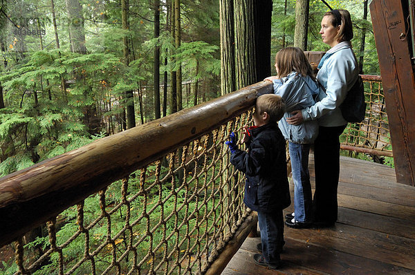 Besucher am Treetops Adventure walkway  Baumkronenpfad  bei der Capilano Suspension Bridge  Hängebrücke  Touristenattraktion  Vancouver  British Columbia  Kanada  Nordamerika