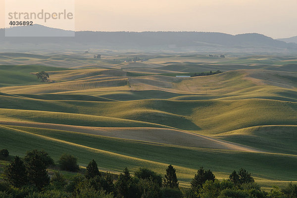 Hügeliges Ackerland von Palouse  Washington  USA