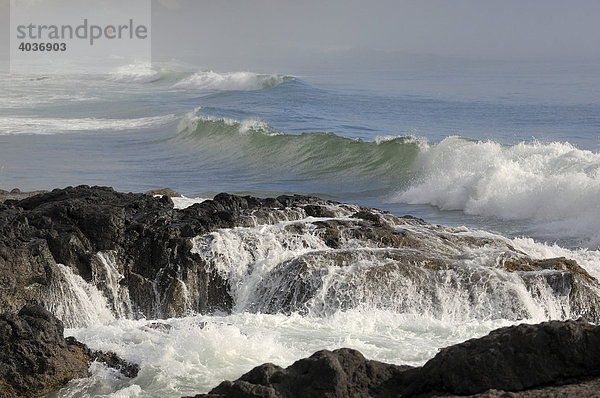 Wellen brechen sich an der Küste von Oregon  Cape Perpetua  Oregon  USA Wellen brechen