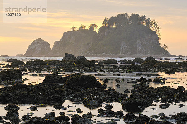 Sonnenuntergang an der Küste am Sand Point  Olympic Nationalpark  Washington  USA  Nordamerika