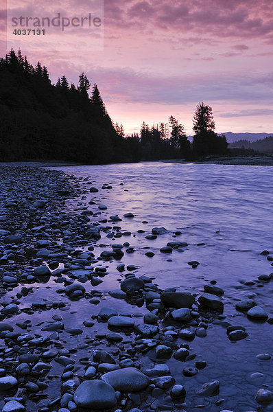 Flussufer im Morgenlicht  Olympic Nationalpark  Washington  USA  Nordamerika