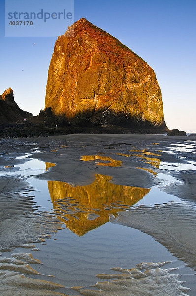 Berühmter Fels Haystack Rock Monolith  erstarrter Lavafelsen am Cannon Beach  Touristenattraktion  Clatsop County  Oregon coast  USA  Nordamerika