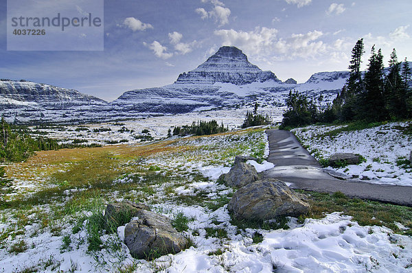 Logan Pass  Hauptbesuchspunkt im Glacier National Park  Montana  USA  Nordamerika