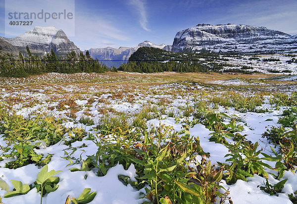 Logan Pass  Hauptbesuchspunkt im Glacier National Park  Montana  USA  Nordamerika