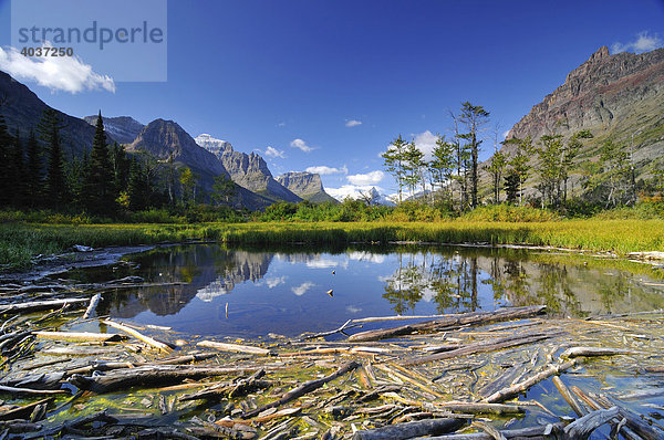 Treibholz im Lake Saint Mary  Glacier Nationalpark  Montana  USA  Nordamerika