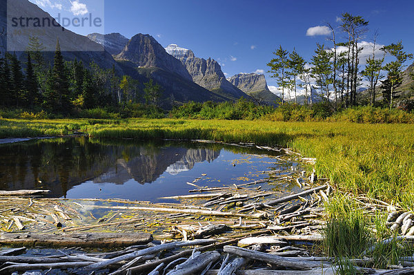 Treibholz im Lake Saint Mary  Glacier Nationalpark  Montana  USA  Nordamerika