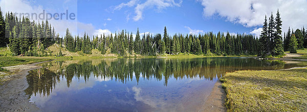 Spiegelung im Shadow Lake  Trial beim Sunrise Visitor Center  Mount Rainier National Park  Washington  USA  Nordamerika