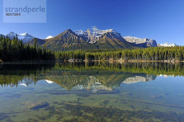 Spiegelung der Rocky Mountains im Herbert Lake  Banff Nationalpark  Alberta  Kanada  Nordamerika