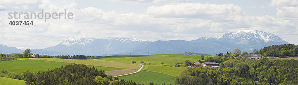 Blick zum Schneeberg  Bucklige Welt  Niederösterreich  Österreich  Europa