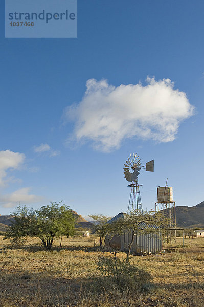Büllsport Farm  Namibia  Afrika