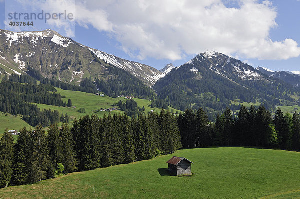 Blick vom Straußbergweg auf Westegg  Kleinwalsertal  Vorarlberg  Österreich  Europa