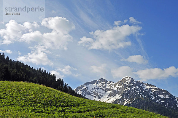 Berglandschaft in der Nähe von Mittelberg  Kleinwalsertal  Vorarlberg  Österreich  Europa