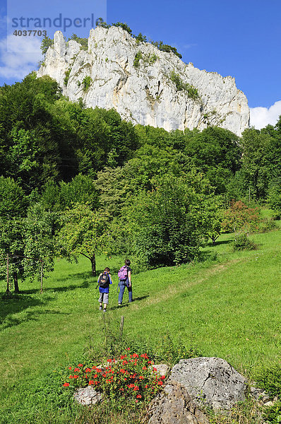 Wanderung im Naturpark Obere Donau  Donaubergland  Baden-Württemberg  Deutschland  Europa