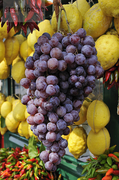 Blaue Weintrauben und Zitronen an einem Marktstand in Sirmione  Lombardei  Italien  Europa