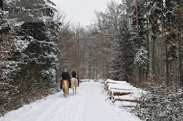 Reiter auf einem Waldweg im Naturpark Schönbuch  Baden-Württemberg  Deutschland  Europa