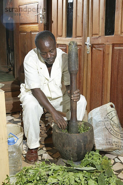 Naturheiler bereitet Extrakte zu  in der eigenen Apotheke  Yaounde  Kamerun  Afrika