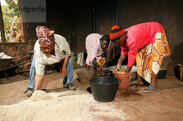 Frauen bereiten Getreide für Schweinefutter vor  Bamenda  Kamerun  Afrika
