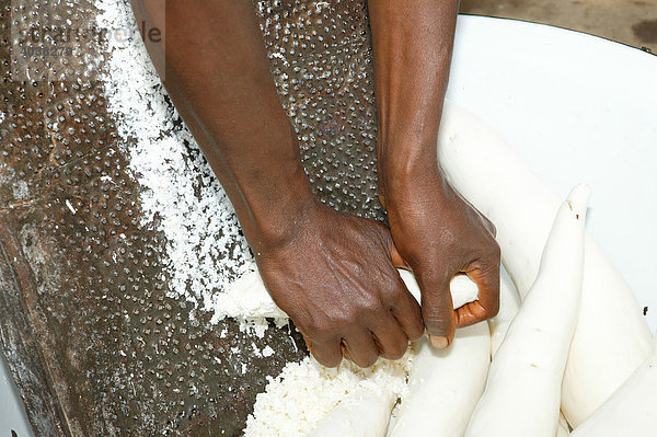 Hände einer Frau raspeln Maniok  Herstellung von Maniok-Flocken  Bamenda  Kamerun  Afrika