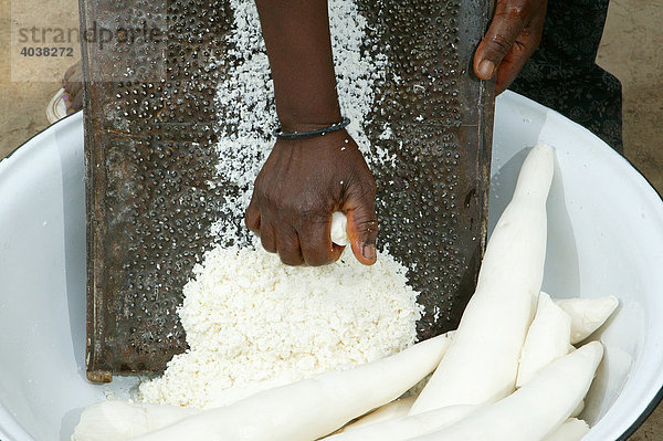 Frau raspelt Maniok  Herstellung von Maniok-Flocken  Bamenda  Kamerun  Afrika