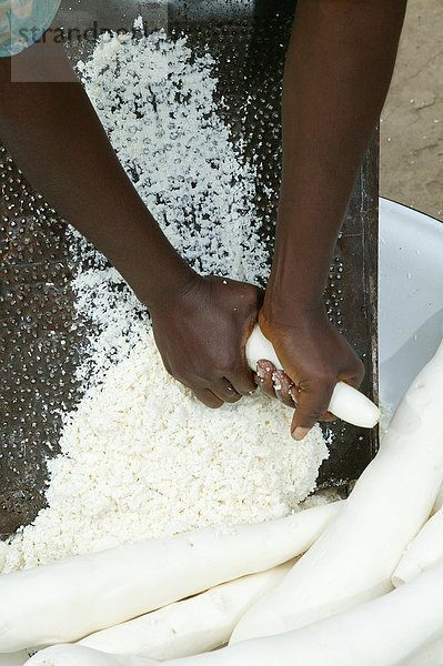 Frau raspelt Maniok  Herstellung von Maniok-Flocken  Bamenda  Kamerun  Afrika