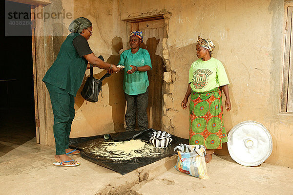 Frauen bei der Herstellung von Maniok-Flocken  Bamenda  Kamerun  Afrika