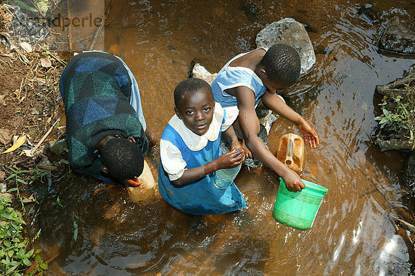 Kinder holen Wasser vom Bach  Njindom  Kamerun  Afrika