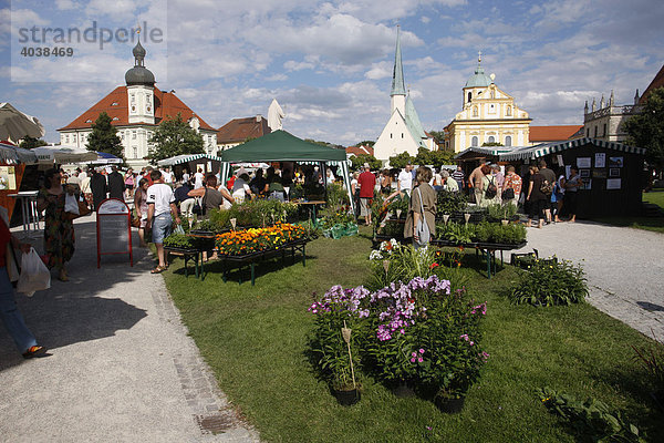 Blumen und Kräuterstand  Klostermarkt am Kapellplatz  Altötting  Oberbayern  Deutschland  Europa