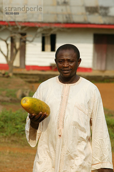 Mann mit Papaya  Hauptstraße in Manyemen  Kamerun  Afrika