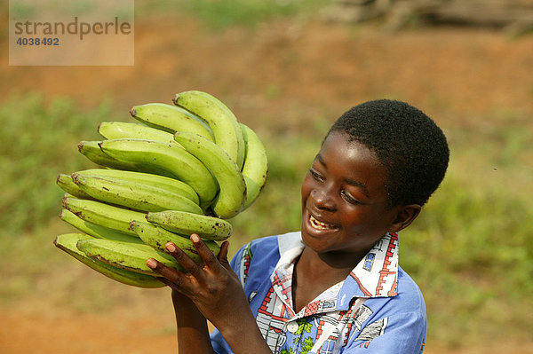 Junge mit Bananen  Manyemen  Kamerun  Afrika