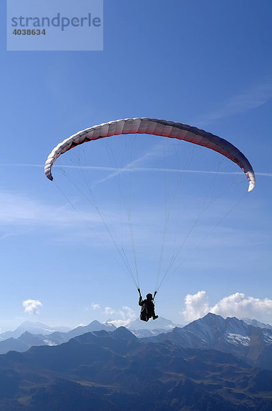 Gleitschirmflieger  Paraglider am blauen Himmel  Monte Cavallo  Sterzing  Südtirol  Italien  Europa