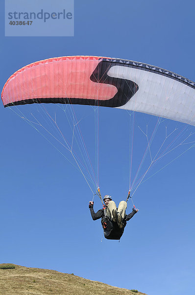 Gleitschirmflieger  Paraglider kurz nach dem Start  Monte Cavallo  Sterzing  Südtirol  Italien  Europa